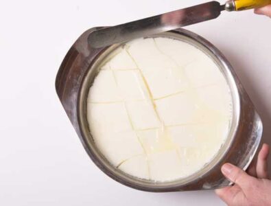 Quark (Fromage Blanc) Image